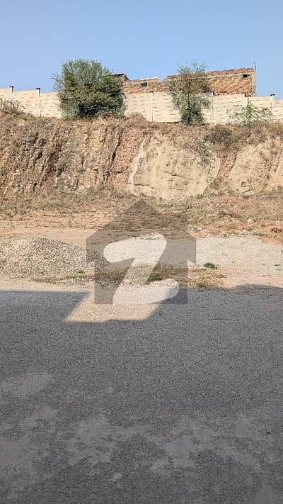 Big Front Plot 11 Marla