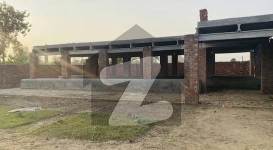 Dairy Farm For Rent Available