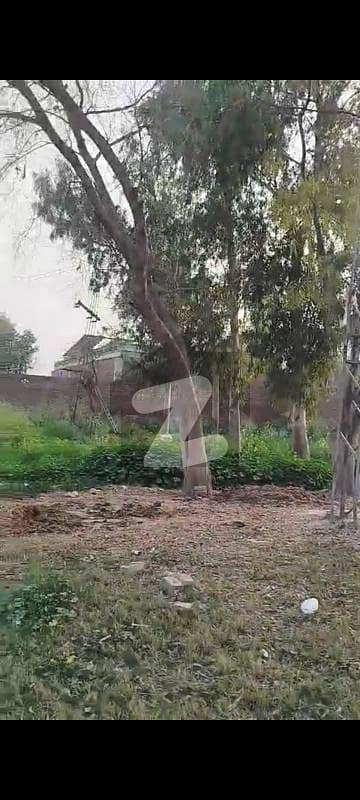 3.5 Kanal Prime Land For Sale Ideal For Farmhouse, Warehouse &Amp; Factory | Best Investment Opportunity