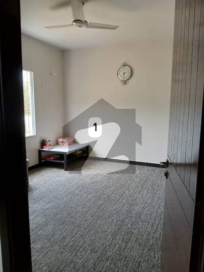 Independent Town House 1130 Ft At Hill Park  Boundary Wall Project