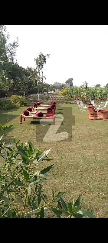 Commercial Farmhouse Ideal For Factory , House And Commercial Activity