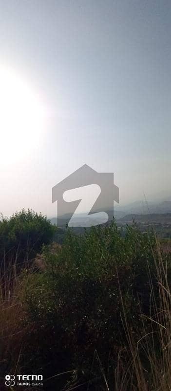 Bahria Agro 4 Kanal Corner with 2 kanal extra land Farm House Plot For Sale At Investor Rate Ready For Possession