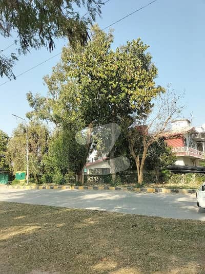 G10/2 40*80 Plot For Sale