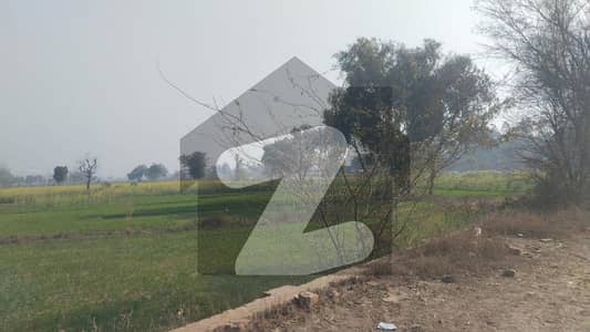 63 Kanal Land For Apartment Near To Lake City Near To Lahore Zoo Near To Al Kabir Town Available For Sale Big Opportunity For Investors 63 Kanal Land For Apartment Near To Lake City Near To Lahore Zoo Near To Al Kabir Town Available For Sale Big Opportunity For Investors