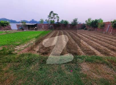 برکی روڈ کینٹ,لاہور میں 4 کنال زرعی زمین 1.25 لاکھ میں کرایہ پر دستیاب ہے۔