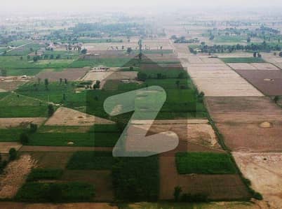 29 Kanal Farm Land (Poultry/ Cattle)