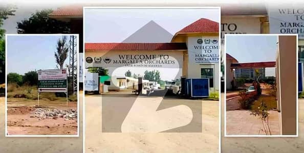 Commercial Front & Back Open Plot | Circulation 13 | 3 Year Instalments | DHA Margalla Orchards