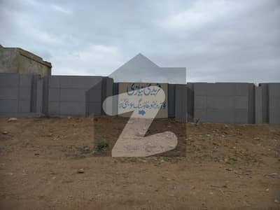 Plot Available For Sale Faridi Niazi Co Operative Housing Society Sectar 20a 240 Sqyd East Open