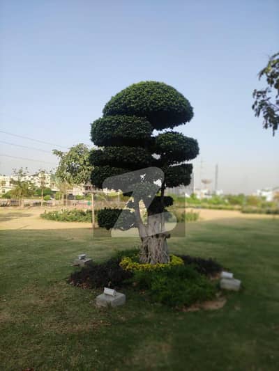 ڈی ایچ اے فیز 4 - سیکٹر سی ڈی ایچ اے ڈیفینس فیز 4,ڈی ایچ اے ڈیفینس,اسلام آباد میں 1 کنال رہائشی پلاٹ 3.8 کروڑ میں برائے فروخت۔