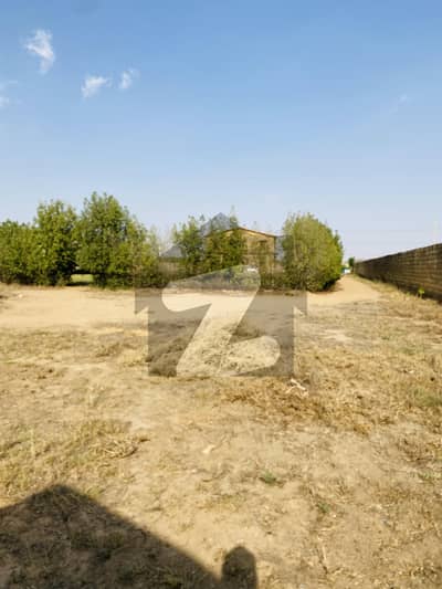 Pine City Farmhouse For Sale