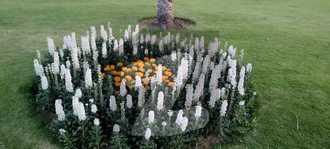 بحریہ ٹاؤن - پریسنٹ 34 بحریہ اسپورٹس سٹی,بحریہ ٹاؤن کراچی,کراچی میں 10 مرلہ رہائشی پلاٹ 32.0 لاکھ میں برائے فروخت۔