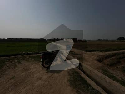 5 Acre Agriculture Land Is Available For Sale On Okara Bypass Okara