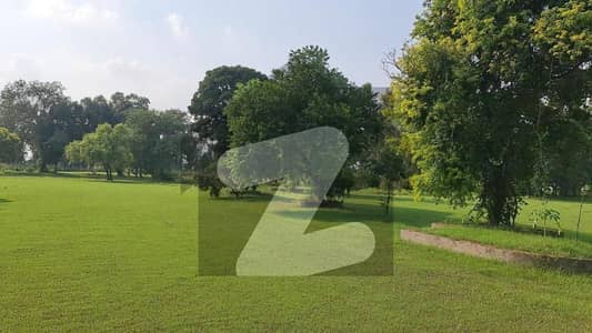 1 Kanal Farmhouse Plot for Sale in a peaceful and secure environment 1 Kanal Farmhouse Plot for Sale in a peaceful and secure environment