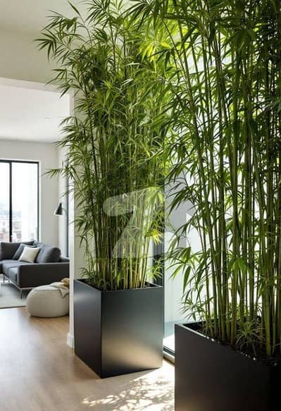 بحریہ ٹاؤن سیکٹر سی بحریہ ٹاؤن,لاہور میں 1 کمرے کا 2 مرلہ فلیٹ 50.0 لاکھ میں برائے فروخت۔