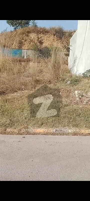 PECHS Plot No 1 Street No 1