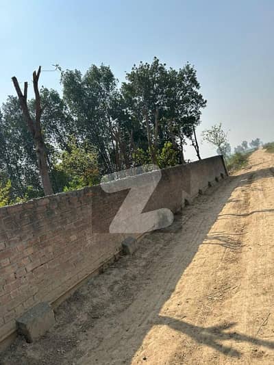 10 kanal Farm House for sale on sparco road Purana Kahna. urgent