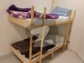 31 31