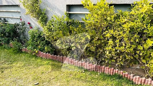 بحریہ ٹاؤن فیز 8 ۔ بلاک ایچ بحریہ ٹاؤن فیز 8,بحریہ ٹاؤن راولپنڈی,راولپنڈی میں 4 کمروں کا 19 مرلہ مکان 4.5 کروڑ میں برائے فروخت۔