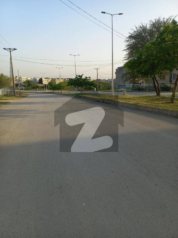 Main Double Road back Main Double Road back