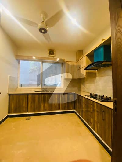 Aesthetic Lower Portion Of 8 Marla For Rent Is Available