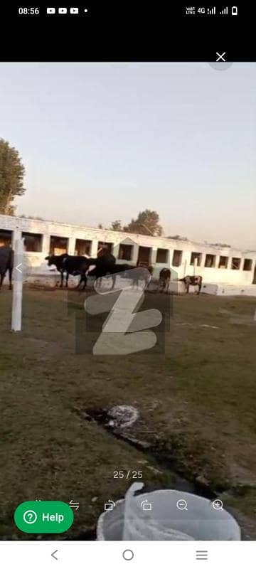 100 Kanal Farm House For Sale Best Investment