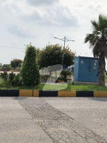 5 Marla Solid Land Plot For Sale