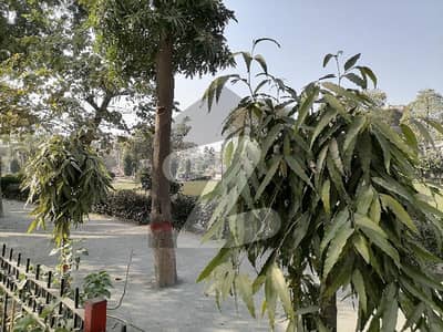 Ready To Buy A Residential Plot In Marghzar Officers Colony Marghzar Officers Colony Ready To Buy A Residential Plot In Marghzar Officers Colony Marghzar Officers Colony