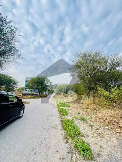 1 Kanal Prime Location Plot Available For Sale In D-12