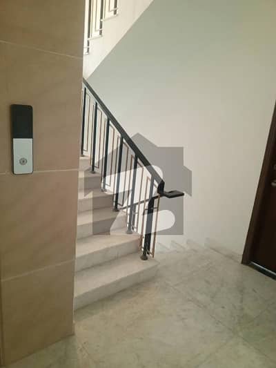 Brand New Full Floor Apartment For Rent