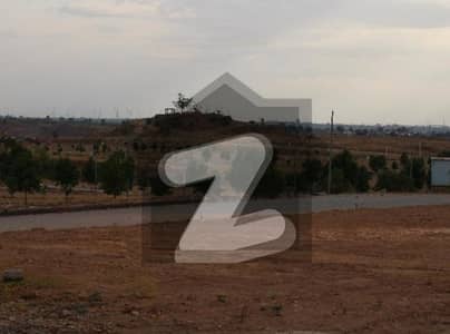 DHA valley Islamabad Rose 8 Marla