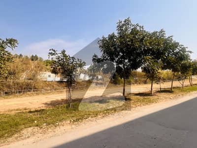 بحریہ ٹاؤن فیز 8 ۔ عمر بلاک بحریہ ٹاؤن فیز 8 ۔ سفاری ویلی,بحریہ ٹاؤن فیز 8,بحریہ ٹاؤن راولپنڈی,راولپنڈی میں 5 مرلہ رہائشی پلاٹ 55.0 لاکھ میں برائے فروخت۔