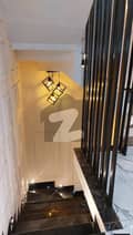 20 