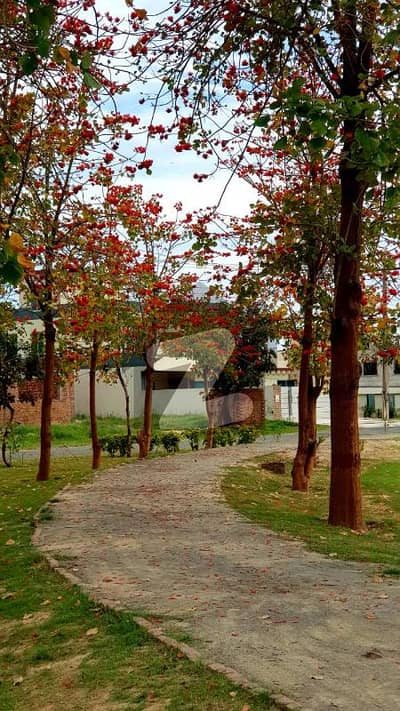 ویلینشیاء ۔ بلاک ایچ ویلینشیاء ہاؤسنگ سوسائٹی,لاہور میں 2 کنال رہائشی پلاٹ 9.0 کروڑ میں برائے فروخت۔