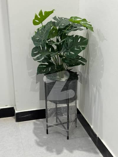 100 sq yard beautiful portion for sale