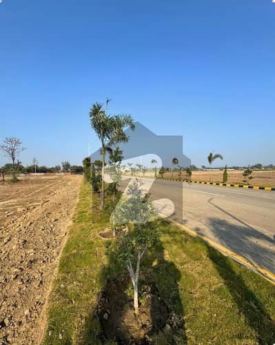 Lahore Organic Farms Society Located on Main Barki Road, Lahore.
