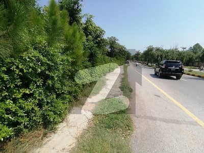 A Residential Plot Of 666 Square Yards In F-11