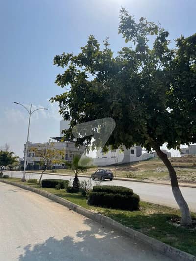 T Block 10 Marla Plot Develop Position Solid Land Available For Sale