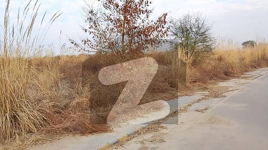 A block 7m Develop possision Plot available for Sale Gulberg Residencia