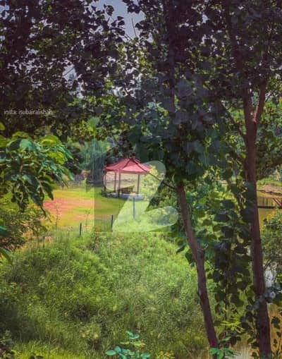 1000sy main Duble Road plot for sale available near main entrance