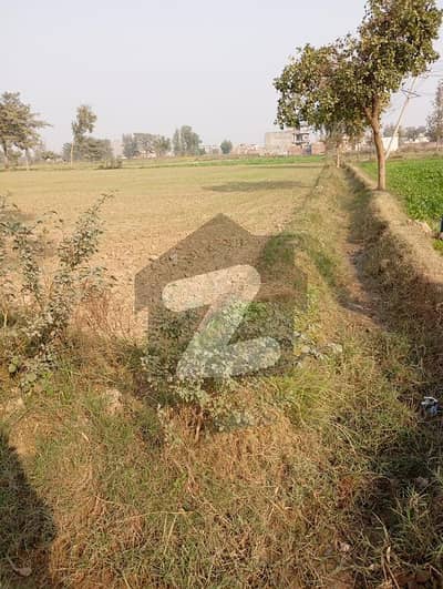 29 Kanal 7 Marla Land for Sale Near Manga Road Ideal for Factory 35 Lakh per Kanal