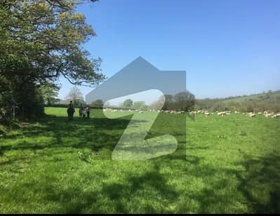 ناول فارمز ہاؤسنگ سکیم اسلام آباد میں 5 کنال رہائشی پلاٹ 5.4 کروڑ میں برائے فروخت۔