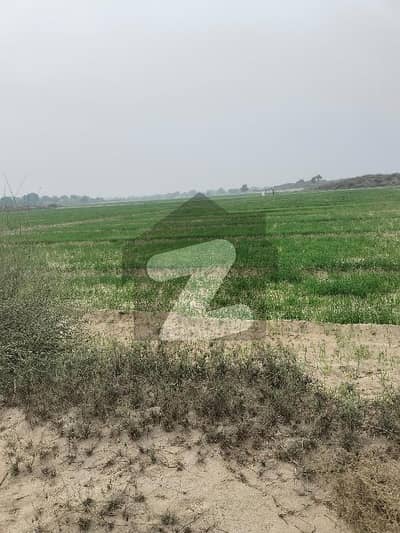 ناردرن بائی پاس ملتان میں 200 کنال زرعی زمین 2.5 کروڑ میں برائے فروخت۔