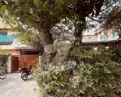 I-8/2.40x80 Single Storey House Available For Rent And. More Options Available