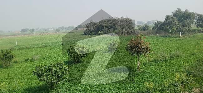 بیدیاں روڈ لاہور میں 32 کنال زرعی زمین 13.0 کروڑ میں برائے فروخت۔