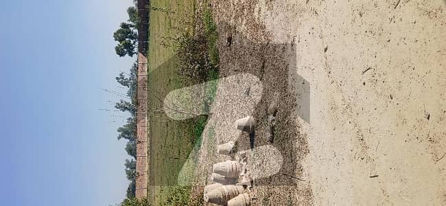 بیدیاں روڈ لاہور میں 4 کنال زرعی زمین 5.35 کروڑ میں برائے فروخت۔