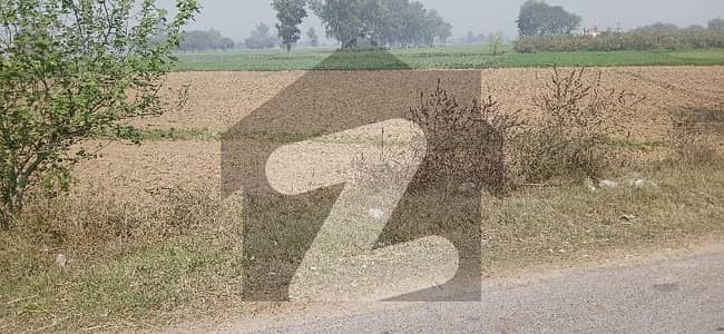 برکی روڈ کینٹ,لاہور میں 82 کنال زرعی زمین 17.5 کروڑ میں برائے فروخت۔