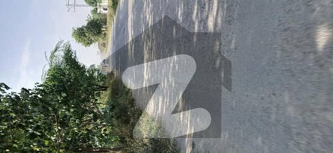 برکی روڈ کینٹ,لاہور میں 165 کنال زرعی زمین 9.0 کروڑ میں برائے فروخت۔