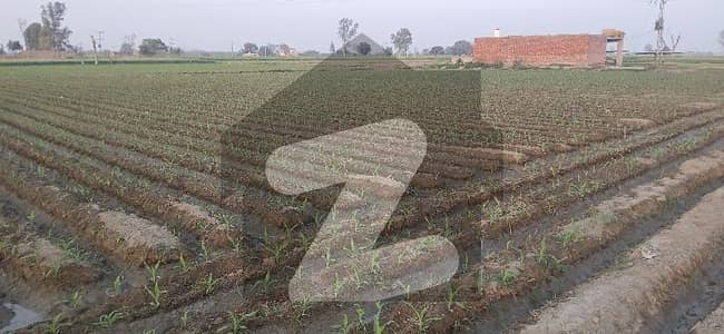 برکی روڈ کینٹ,لاہور میں 96 کنال زرعی زمین 21.0 کروڑ میں برائے فروخت۔