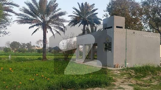 تھیٹر لاہور میں 8 کنال مکان 8.0 کروڑ میں برائے فروخت۔