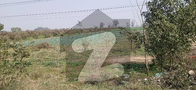 فیروزپور روڈ لاہور میں 50 کنال کمرشل پلاٹ 75.0 کروڑ میں برائے فروخت۔ فیروزپور روڈ لاہور میں 50 کنال کمرشل پلاٹ 75.0 کروڑ میں برائے فروخت۔